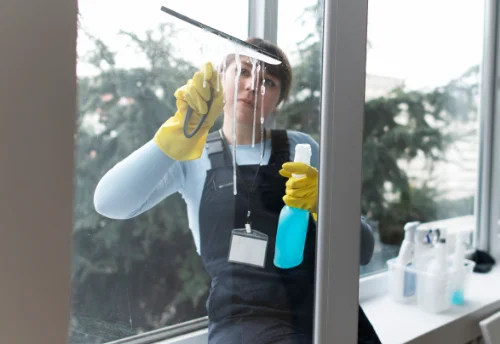 Nettoyage de vitres intérieures et extérieures à Terre-et-Marais